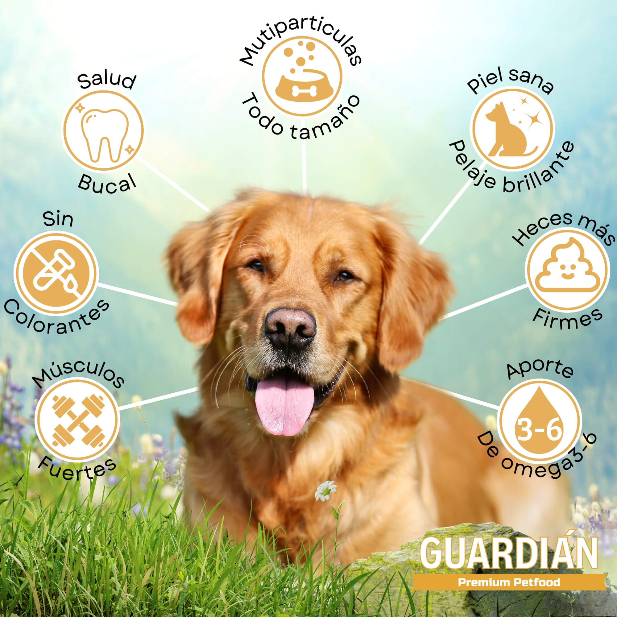 ALIMENTO SECO PERROS ADULTO GUARDIAN SABOR CARNE 9 KG GUARDIÁN - 4