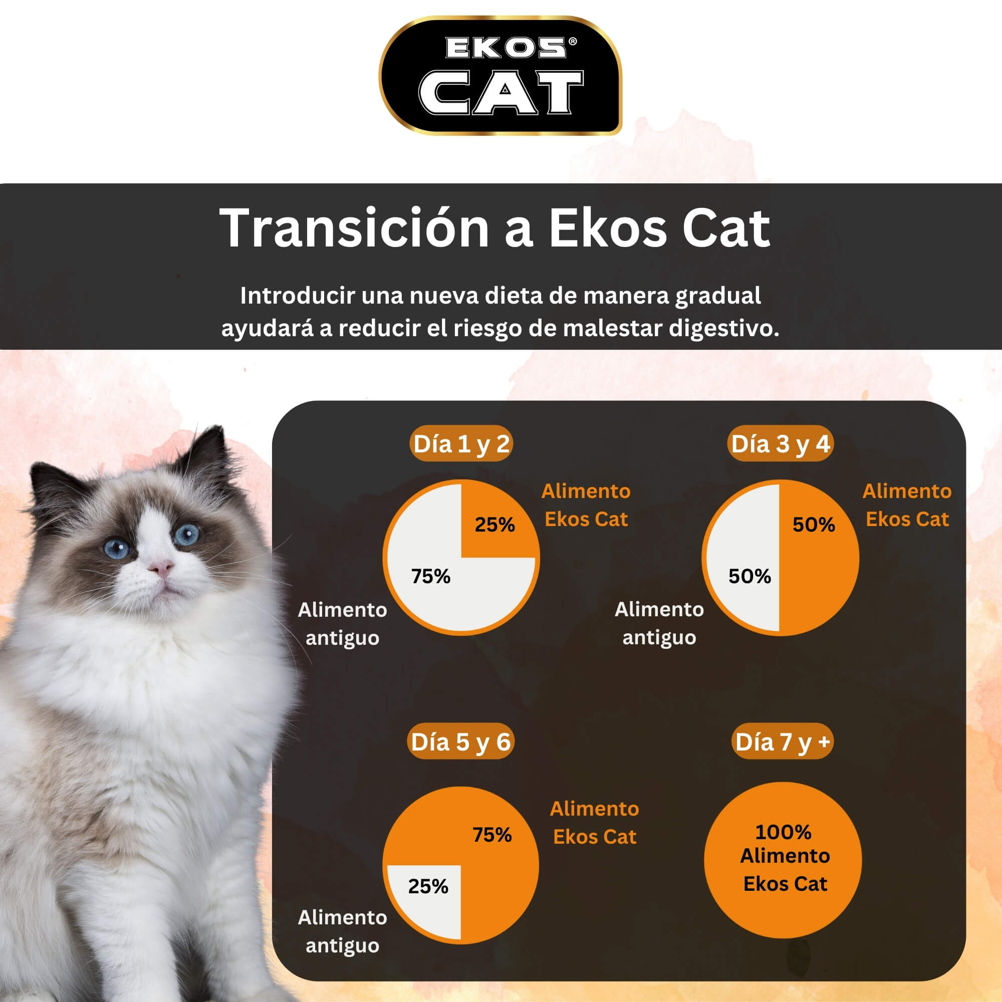 ALIMENTO SECO GATOS ADULTO EKOSCAT SABOR CARNE 16 KG - 6