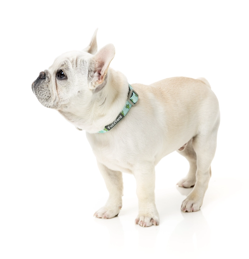 COLLAR PERROS FUZZYARD TUCSON L (50-65 CM) - 2
