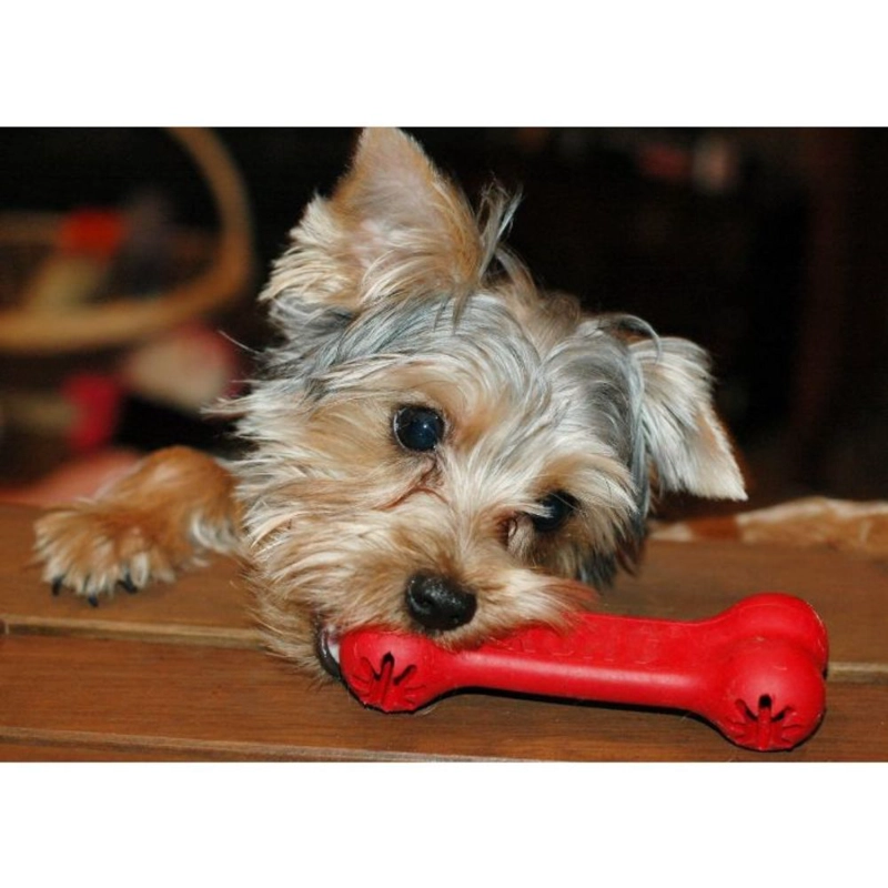 JUGUETE PERROS KONG GOODIE BONE CLASSIC TALLA S - 4