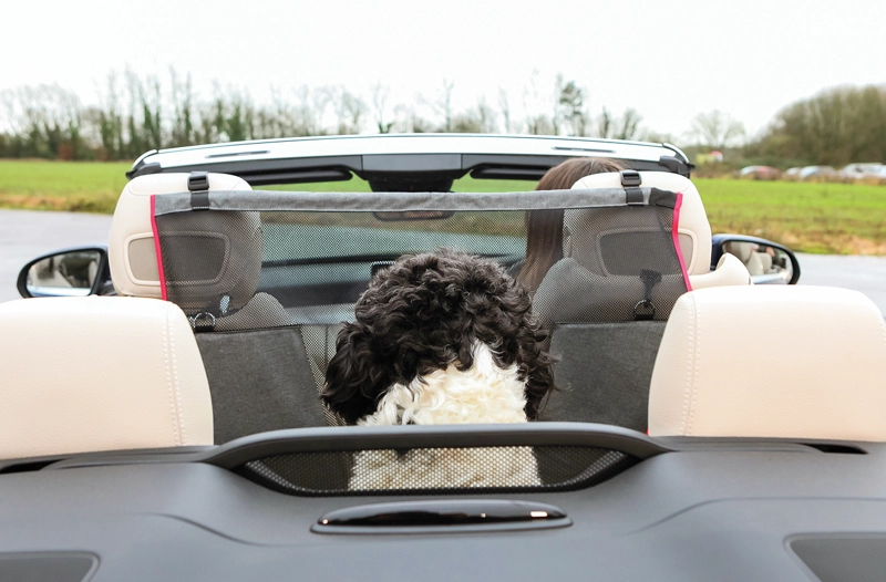 BARRERA PERROS PROTECCION ASIENTOS AUTOS SEAT BARRIER KONG - 4