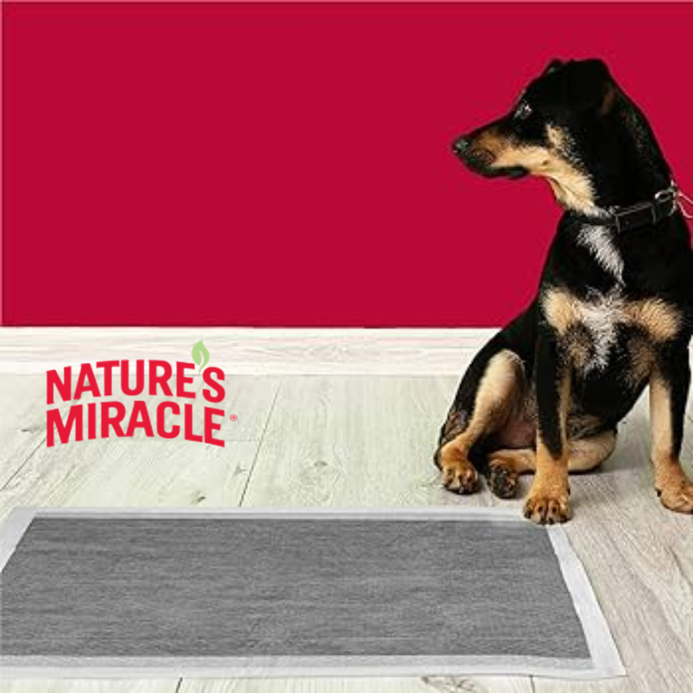 SABANILLAS DE ENTRENAMIENTO PERROS NATURES MIRACLE PAÑALES CARBON ACTIVADO 10 UN - 2