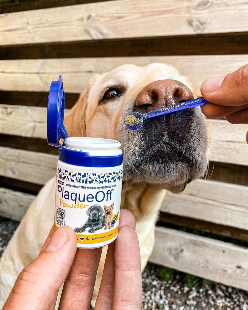 PLAQUEOFF POLVO LIMPIEZA DIENTES PERRO 40 GR - 6