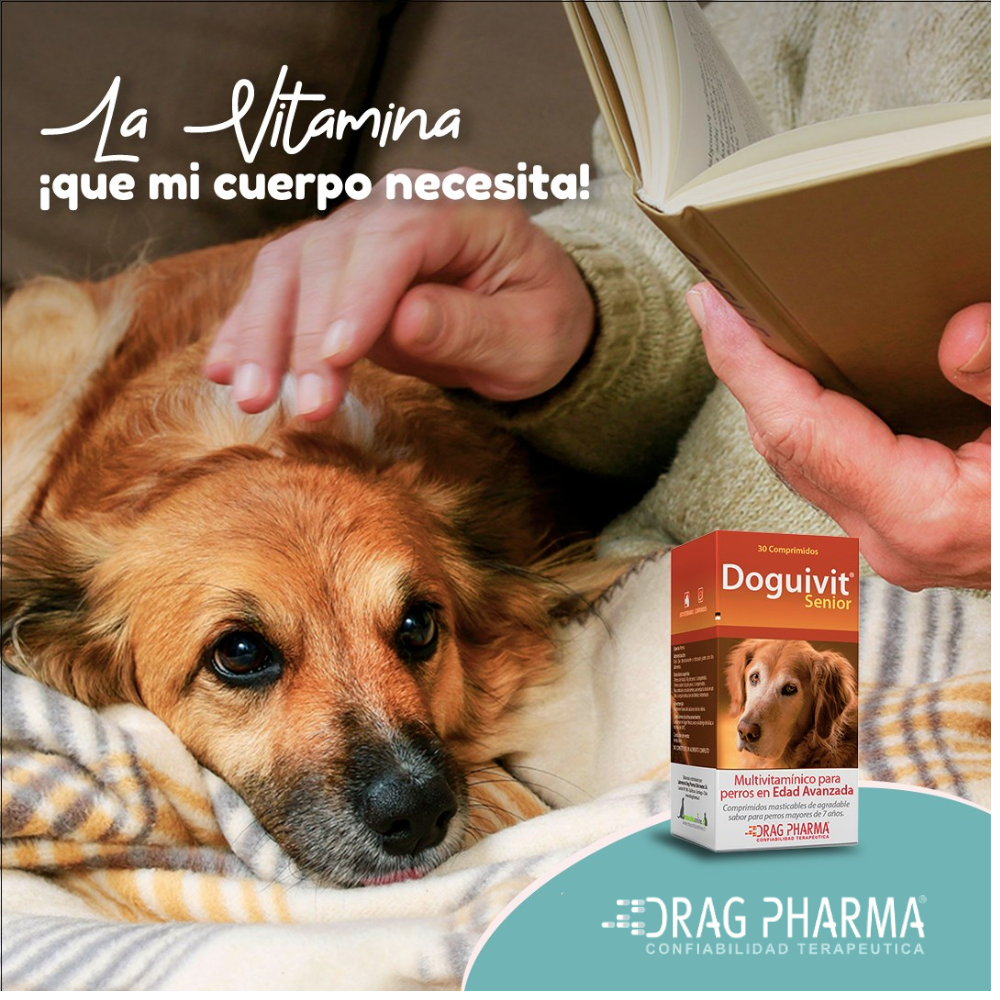 SUPLEMENTO PERRO DRAG PHARMA SENIOR 30 COMPRIMIDOS DOGUIVIT - 2