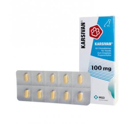 KARSIVAN 100 MG 60 COMPRIMIDOS MSD - 1