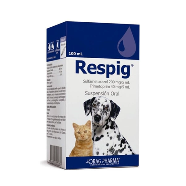 RESPIG SUSPENSION ORAL 100 ML DRAG PHARMA - 1