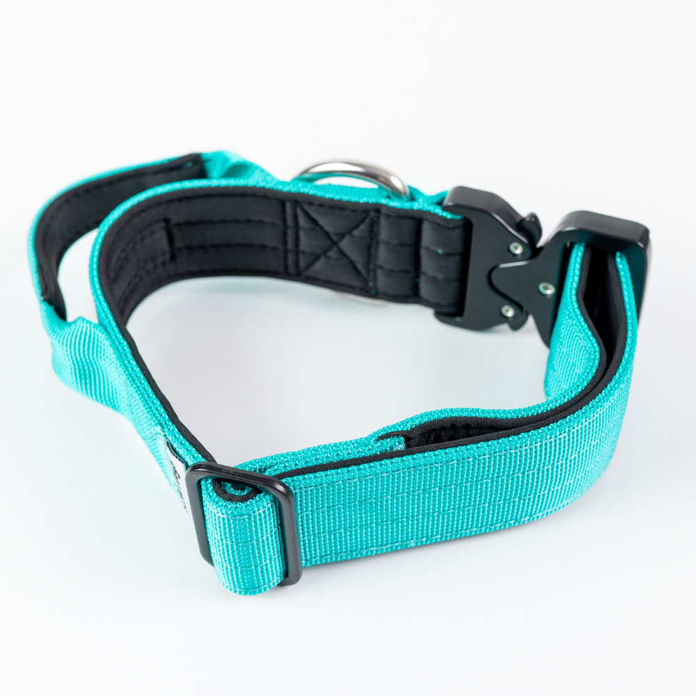 COLLAR COMBAT 4 CM PARA PERROS  STREET DOGS TURQUOISE L - 1