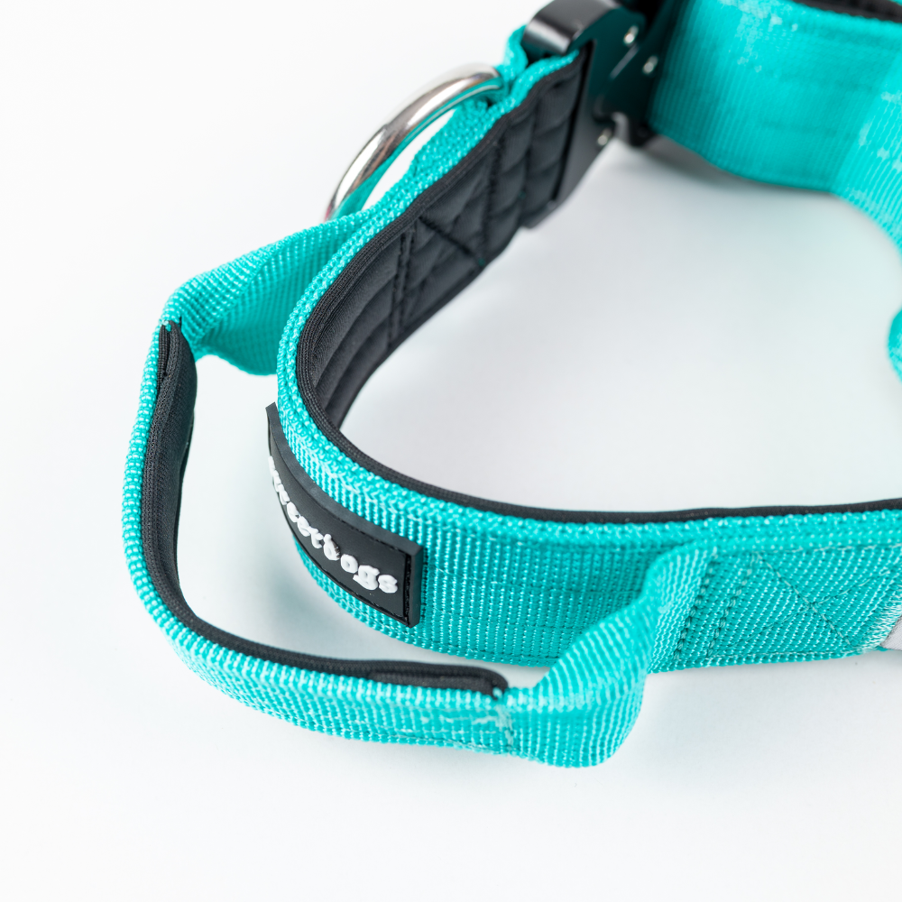 COLLAR COMBAT 4 CM PARA PERROS  STREET DOGS TURQUOISE L - 2