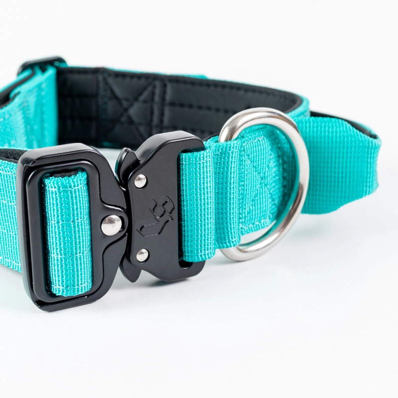 COLLAR COMBAT 4 CM PARA PERROS  STREET DOGS TURQUOISE L - 3