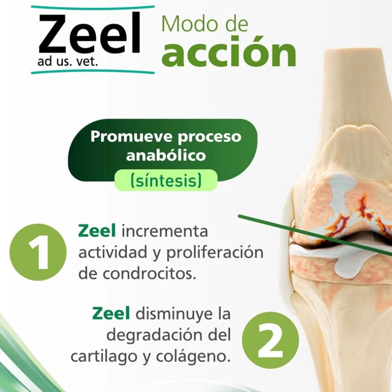 ZEEL DE HEEL 100 COMPRIMIDOS - 3