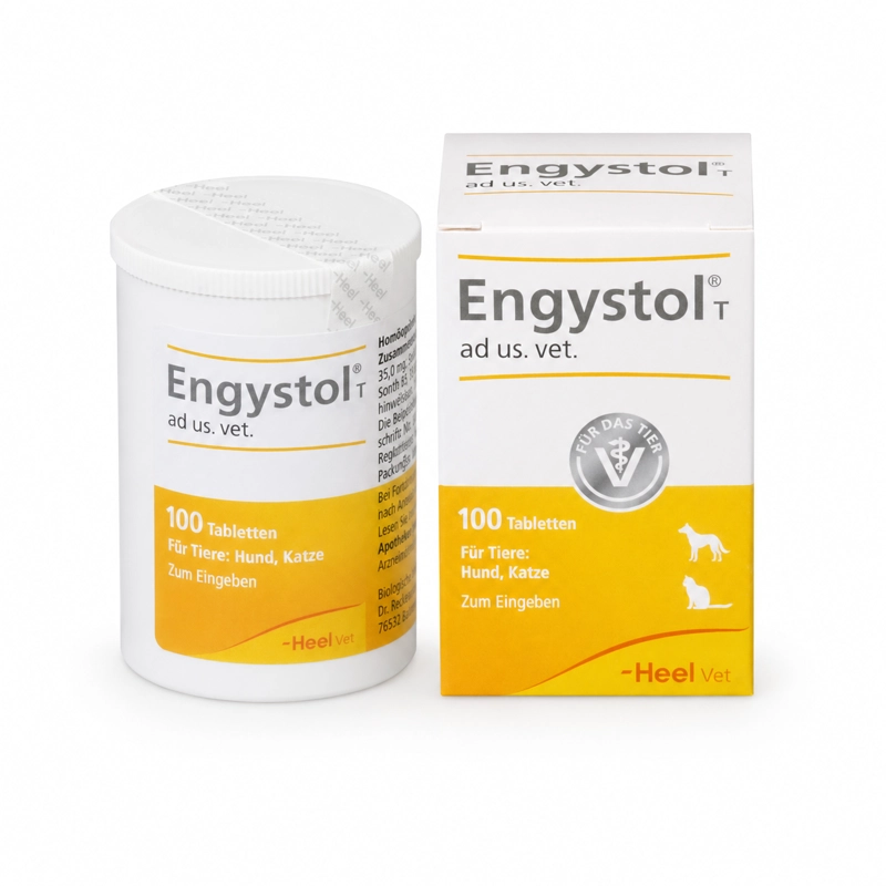 ENGYSTOL HEEL 100 COMPRIMIDOS - 1
