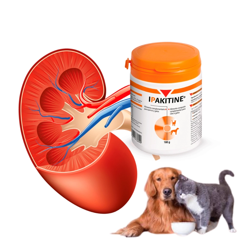 IPAKITINE PERROS Y GATOS FRASCO 180G - 2