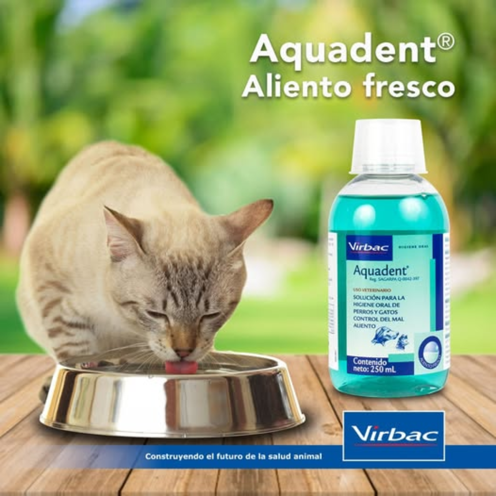 AQUADENT VIRBAC CUIDADO ORAL PERROS Y GATOS 250 ML - 2