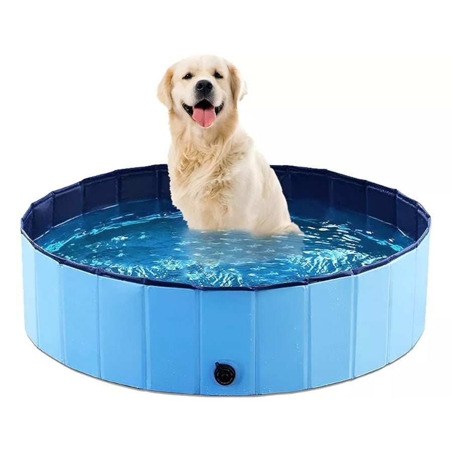 PISCINA ANGELES DEL HOGAR PLEGABLE PARA PERROS MASCOTAS VERANO 80X20 CM - 1