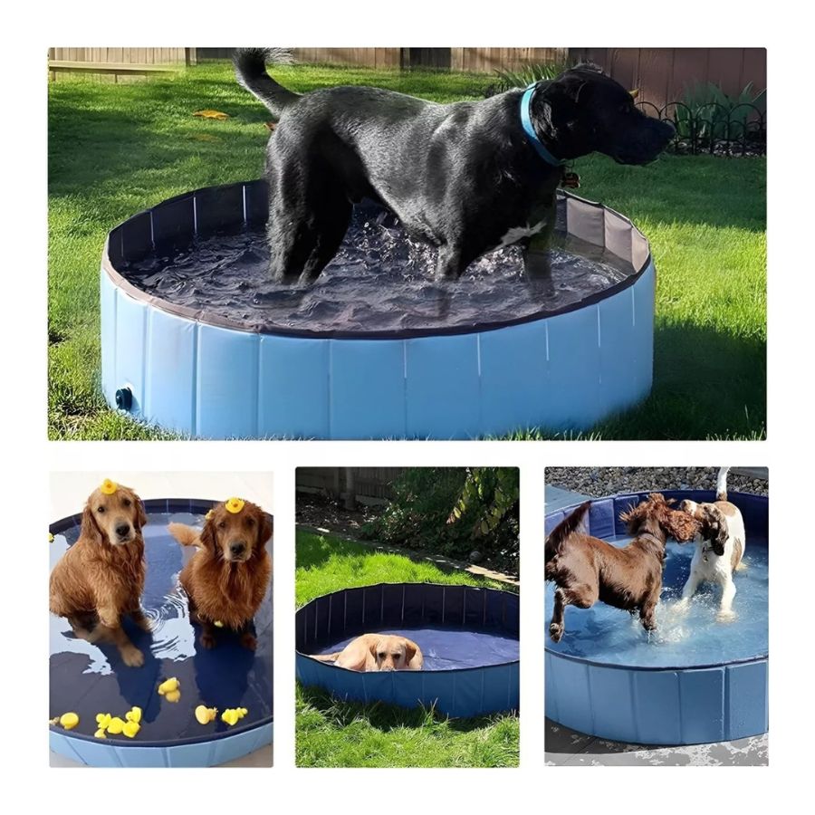 PISCINA ANGELES DEL HOGAR PLEGABLE PARA PERROS MASCOTAS VERANO 80X20 CM - 2