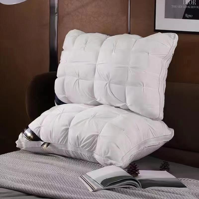 PACK 2 ALMOHADAS RECTANGULAR MICROFIBRA 45X70 CM - 1