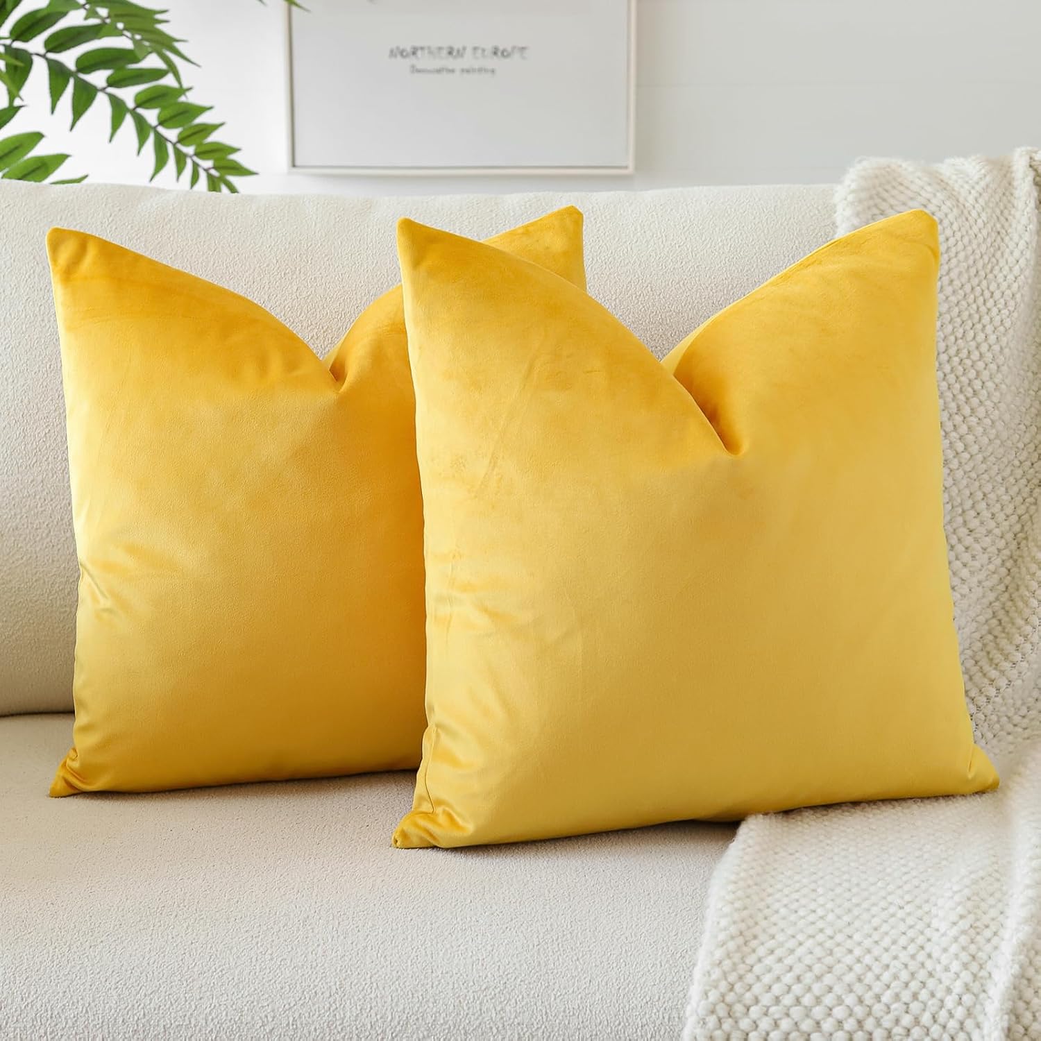 PACK DE 02 FUNDAS DE COJÍN DE TERCIOPELO SUAVE 45X45 MOD15 - 1