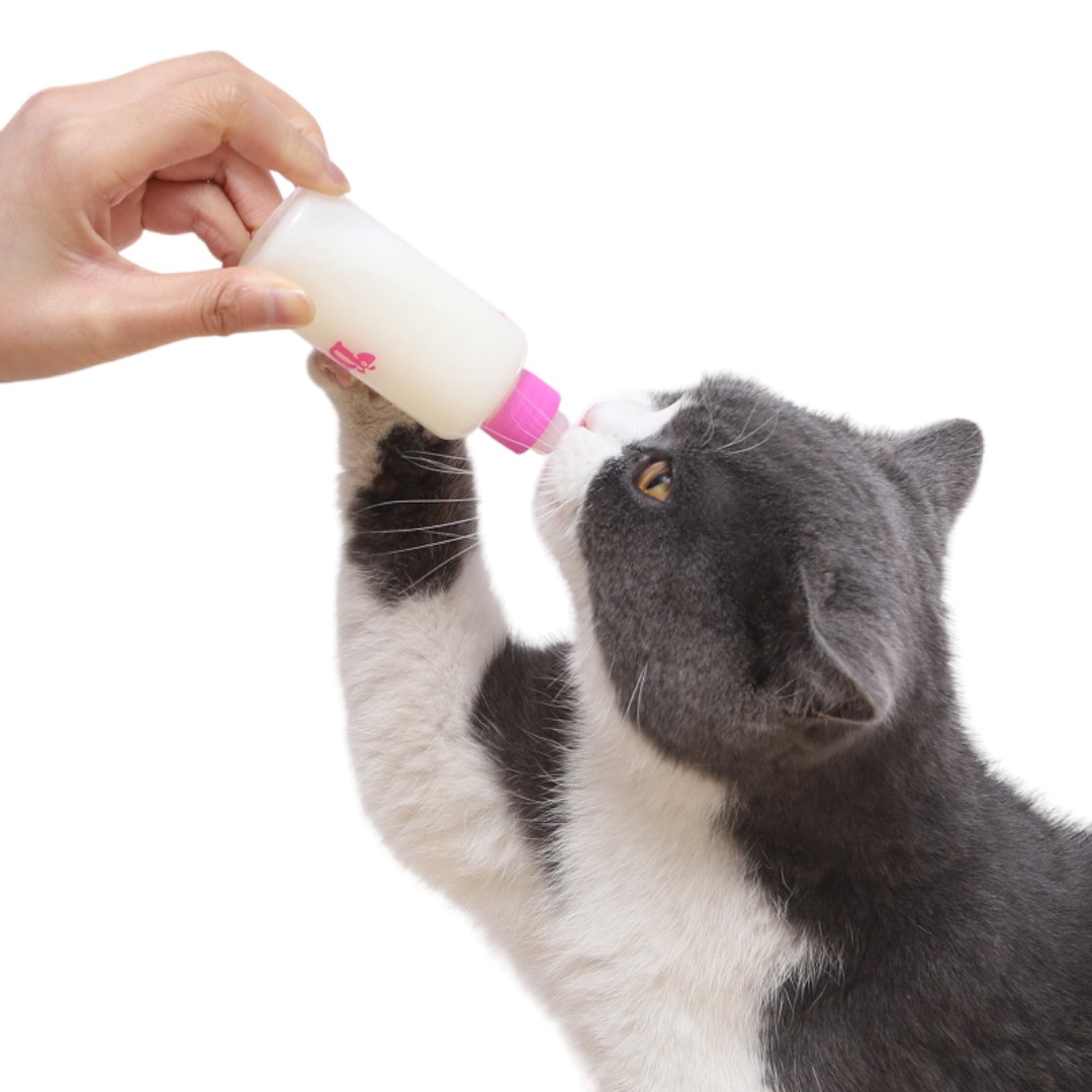 MAMADERA MASCOTAS LECHE PERRO Y GATO 60ML | VERDE - 2