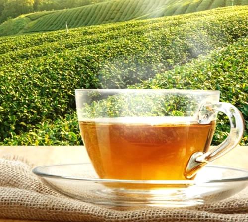 INFUSION TE VERDE BUTTERFLY BRAND CAJA 200 GR 100 UN BOLSITAS CHINA GREEN TEA - 2