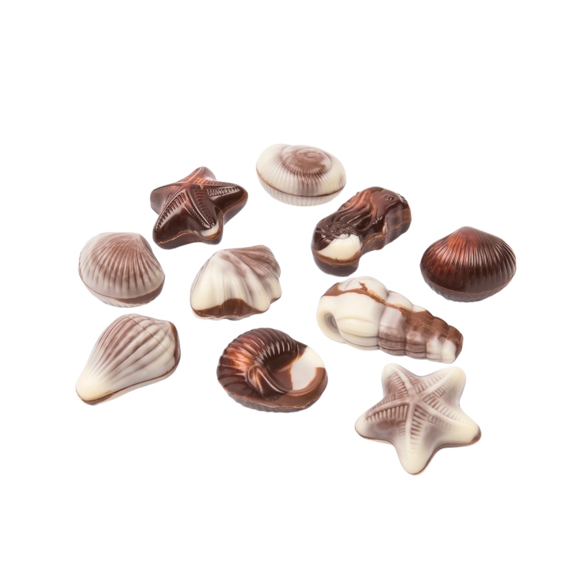 BOMBONES DE CHOCOLATES BELGIAN SEASHELLS 195G - 4