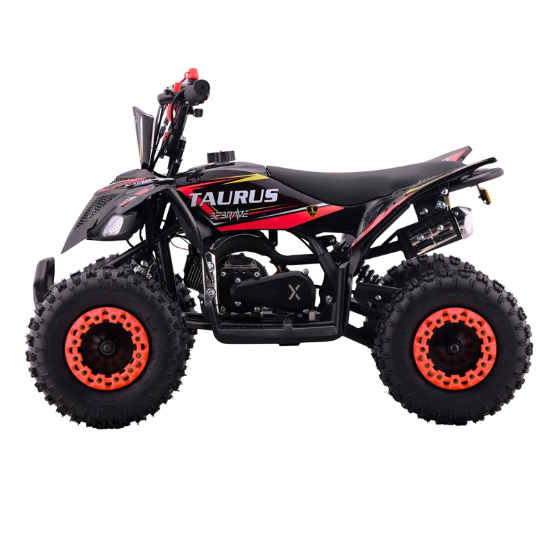 ATV TAURUS PRO 49CC - 3