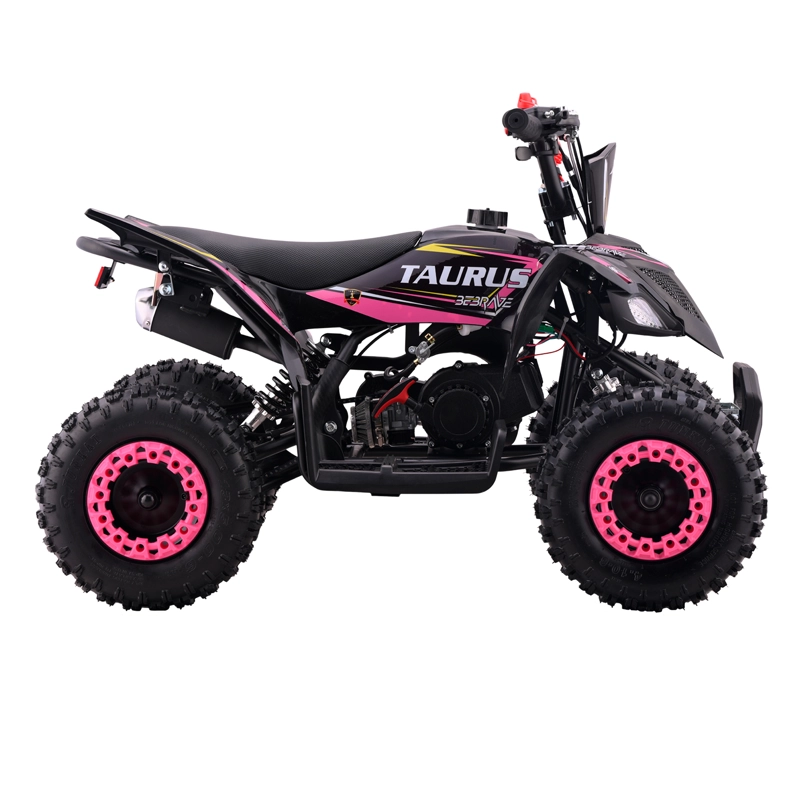 ATV TAURUS PRO 49CC - 2