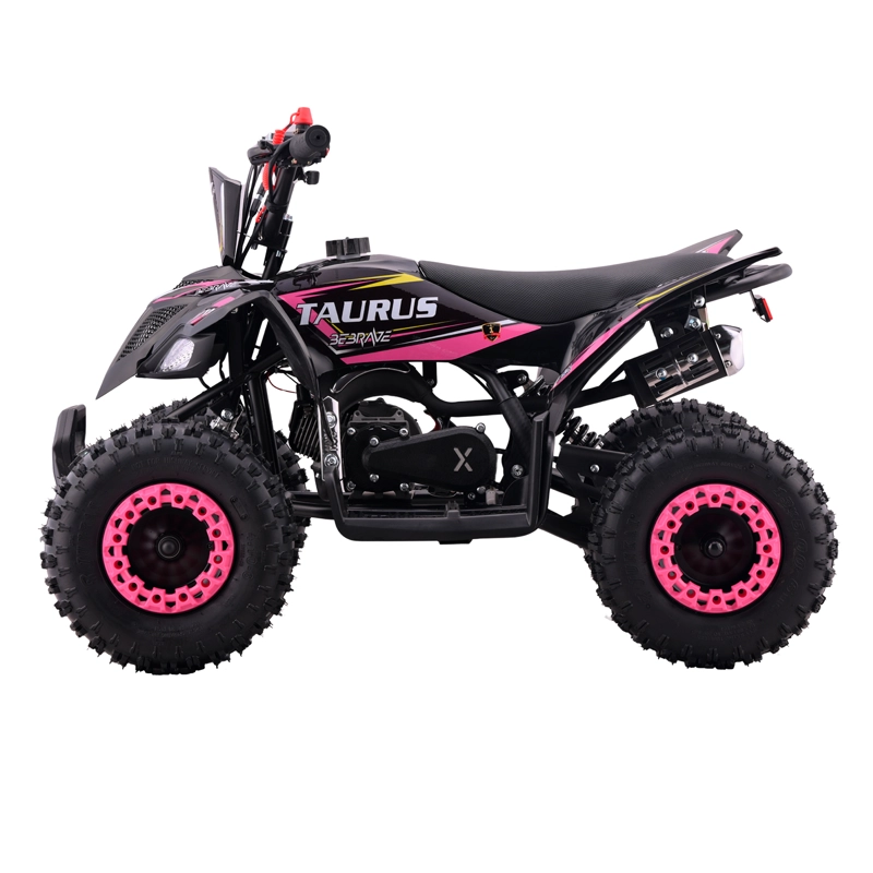 ATV TAURUS PRO 49CC - 3