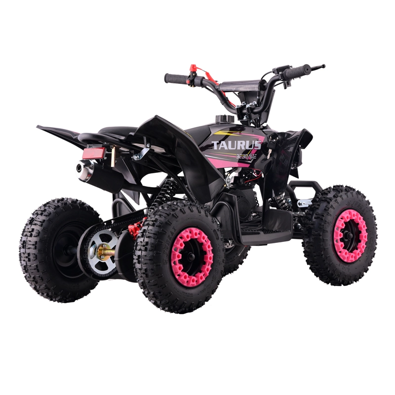 ATV TAURUS PRO 49CC - 4