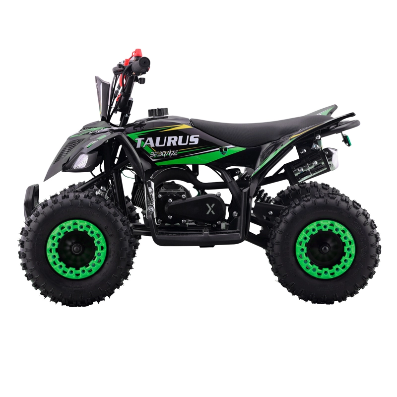 ATV TAURUS PRO 49CC - 3