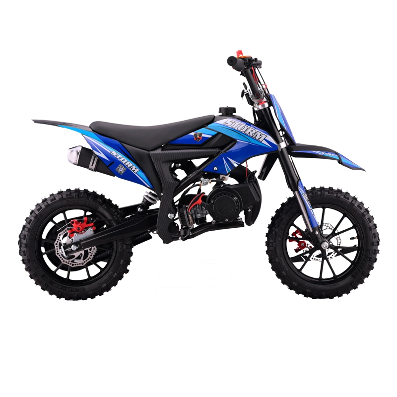 PITBIKE STORM PRO 49CC - 2
