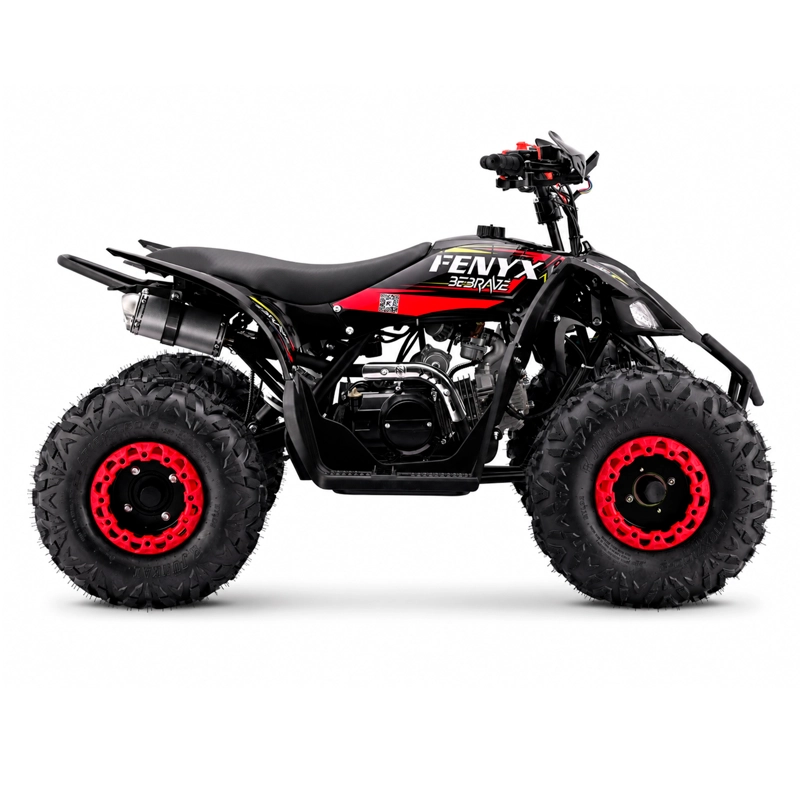 CUATRIMOTO ATV FENYX 125 - 3