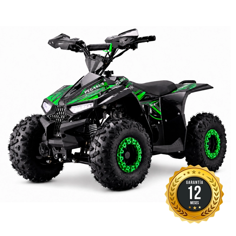 CUATRIMOTO ATV PEGASUS 110 - 1