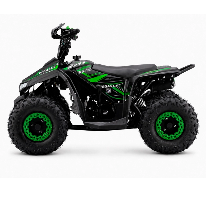 CUATRIMOTO ATV PEGASUS 110 - 2