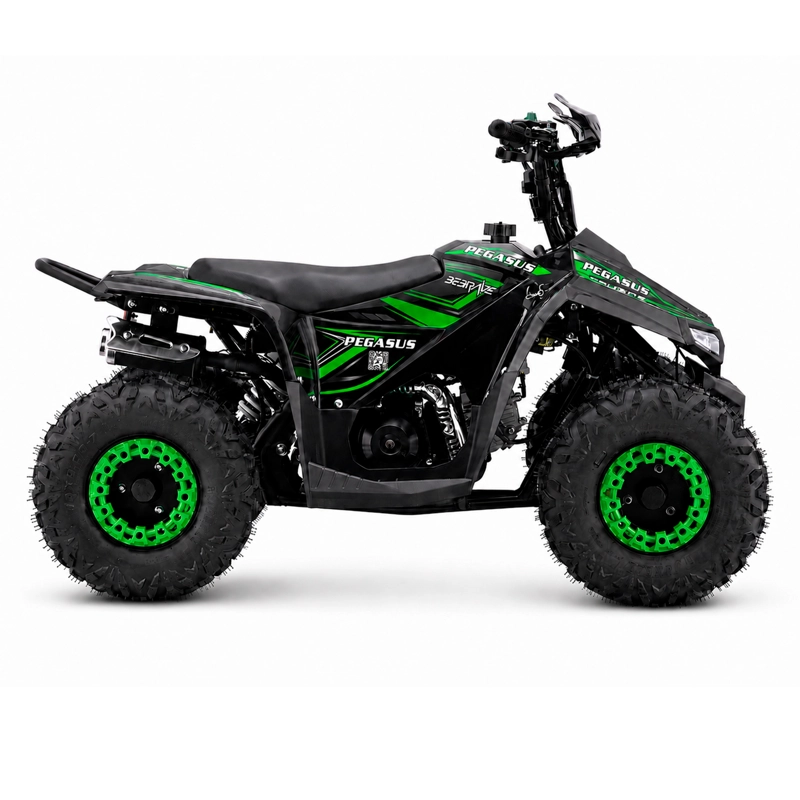 CUATRIMOTO ATV PEGASUS 110 - 3