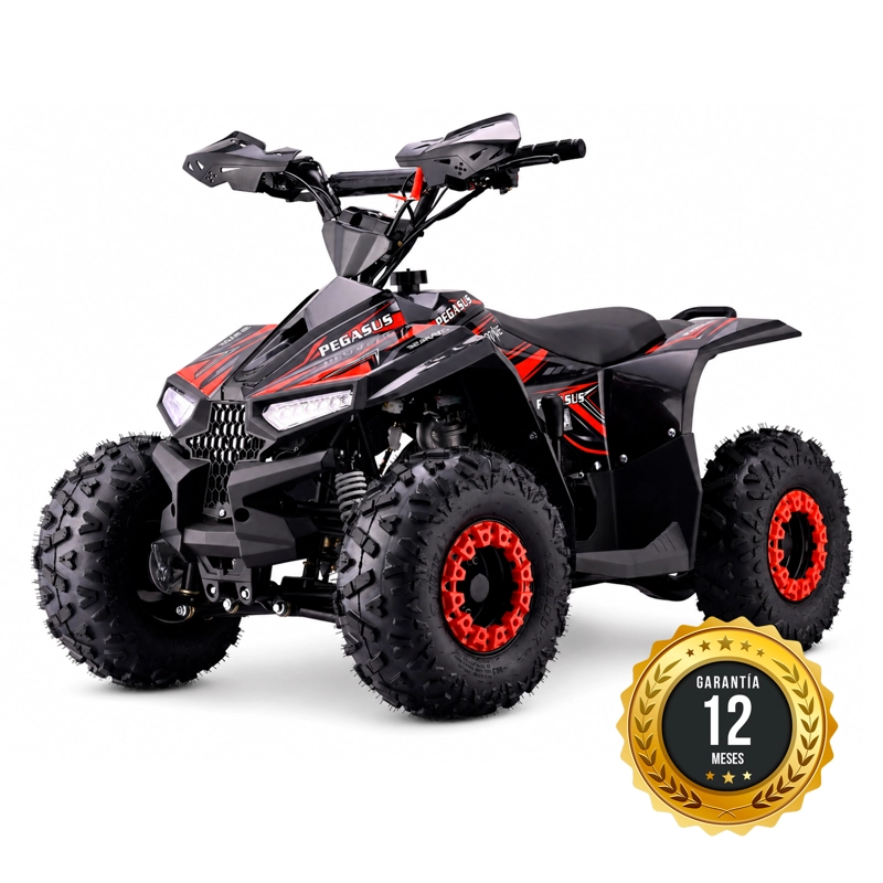 CUATRIMOTO ATV PEGASUS 110 - 1