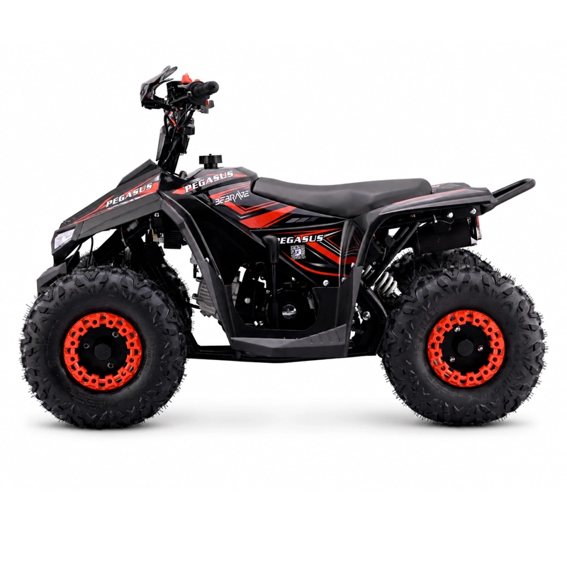 CUATRIMOTO ATV PEGASUS 110 - 2