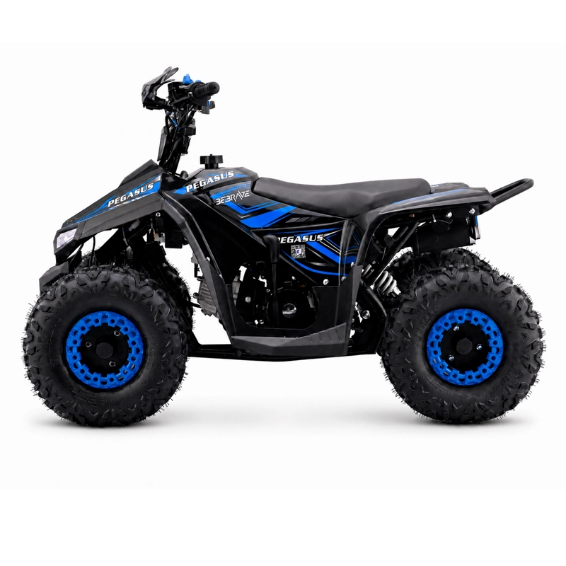 CUATRIMOTO ATV PEGASUS 110 - 2