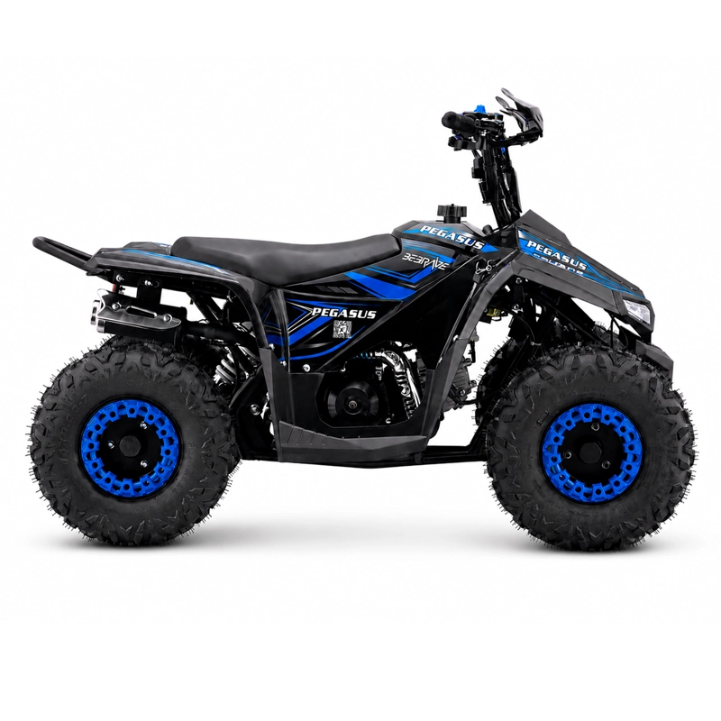 CUATRIMOTO ATV PEGASUS 110 - 3