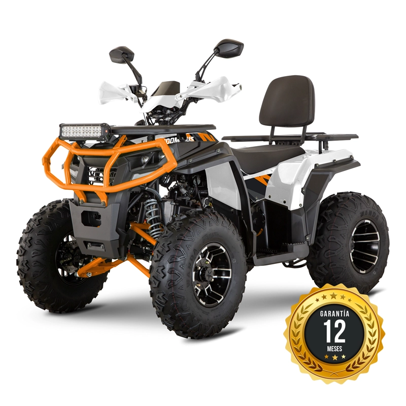CUATRIMOTO INDOMINUS WILD HD 250 - 1