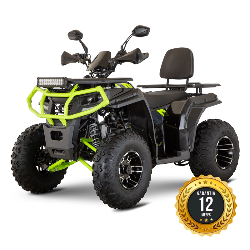 CUATRIMOTO INDOMINUS WILD HD 250 - 1