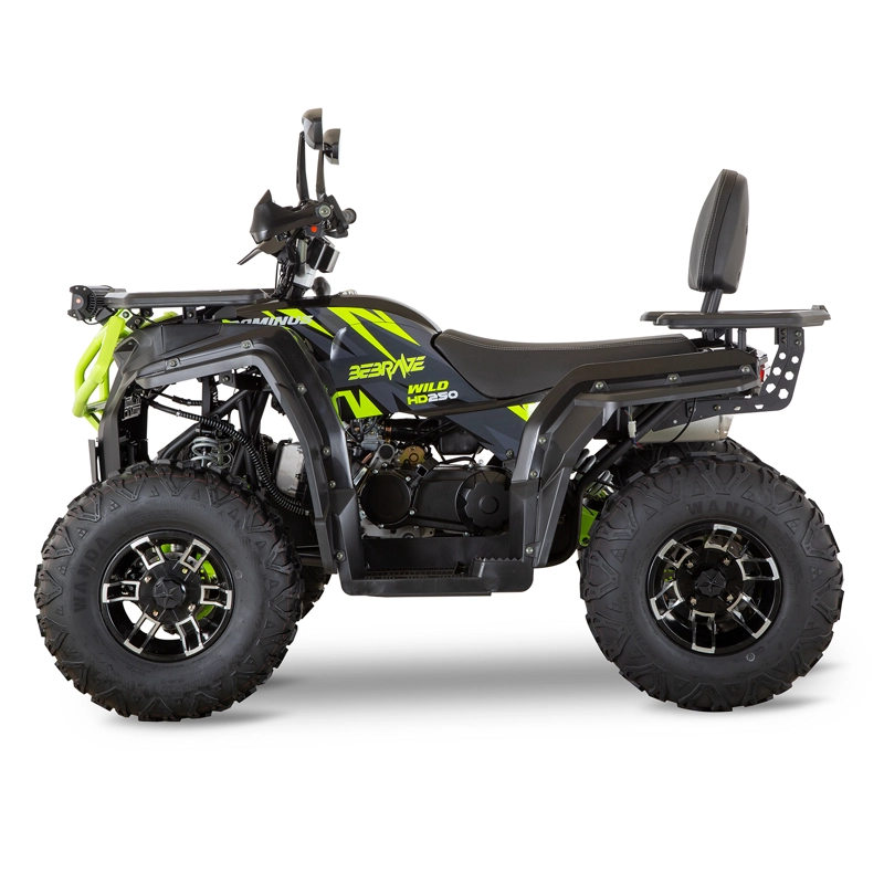 CUATRIMOTO INDOMINUS WILD HD 250 - 2