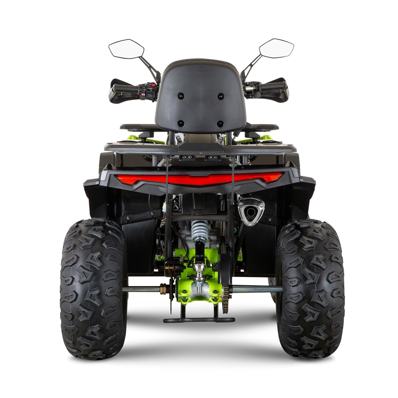CUATRIMOTO INDOMINUS WILD HD 250 - 3