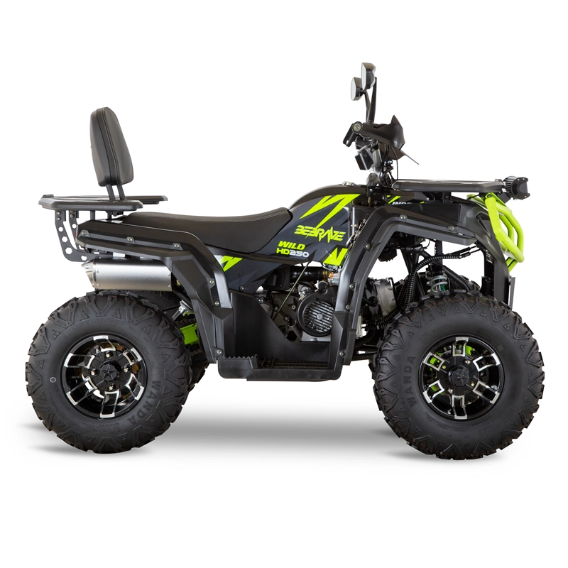 CUATRIMOTO INDOMINUS WILD HD 250 - 4