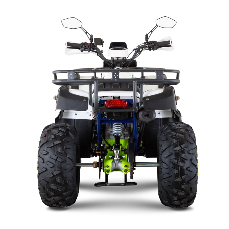 CUATRIMOTO INDOMINUS WILD SE 200 - 3