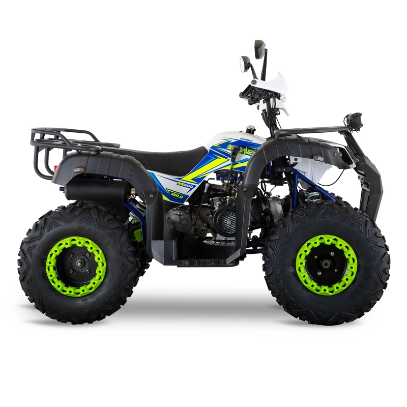 CUATRIMOTO INDOMINUS WILD SE 200 - 4