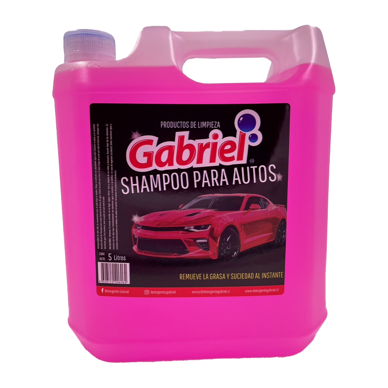 SET LIMPIEZA GABRIEL CAR HOME - 2