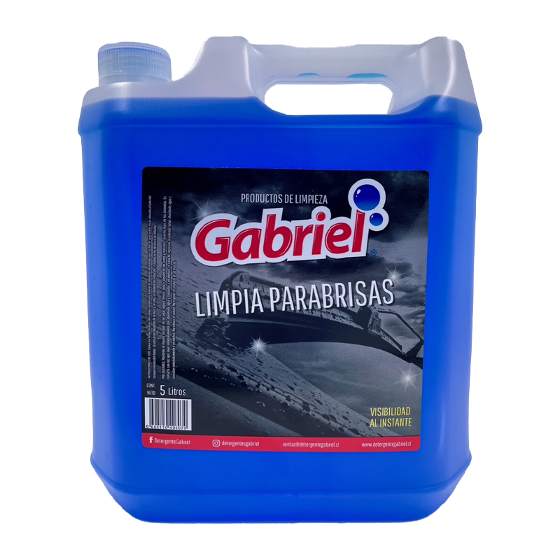 SET LIMPIEZA GABRIEL CAR HOME - 3