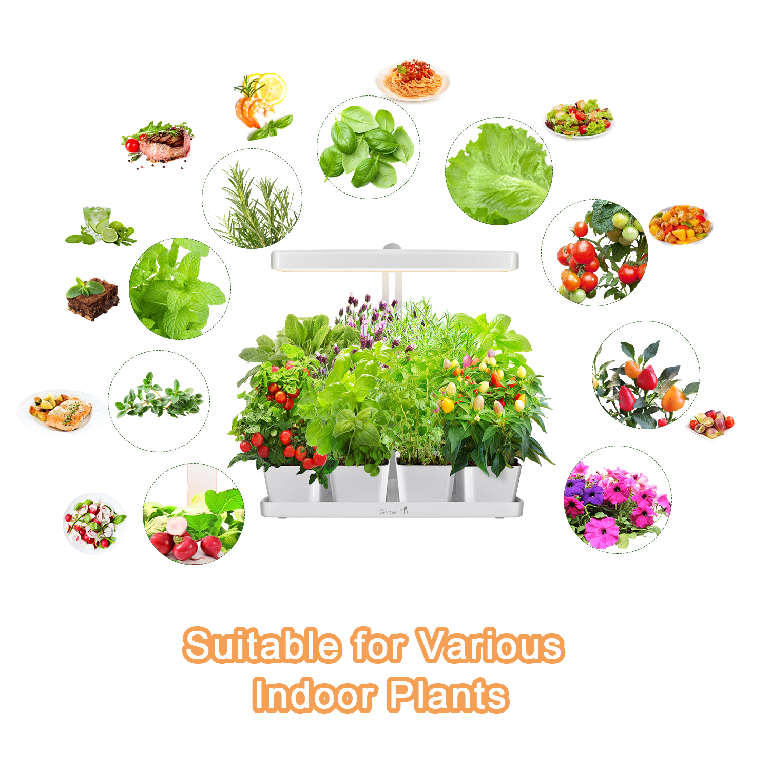HUERTO GROWLED NATURA INTERIOR LED - 4