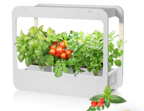 HUERTO GROWLED INTERIOR LED MINIGARDEN CON 4 MACETAS - 2