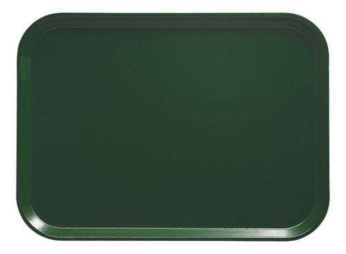 BANDEJA FIBRA DE VIDRIO VERDE - 2